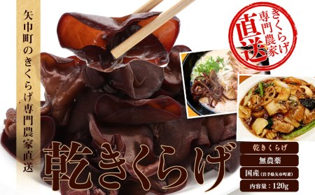 岩手唯一きくらげ専門農家直送 乾きくらげ120g