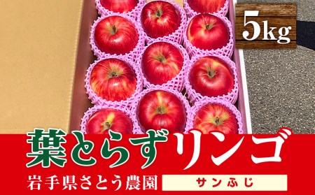 佐藤農園の葉とらずリンゴ (サンふじ) 5kg