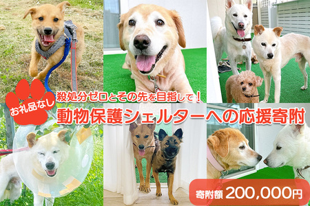 【お礼品なし】殺処分ゼロとその先を目指して！　動物保護シェルターへの応援寄附　200,000円