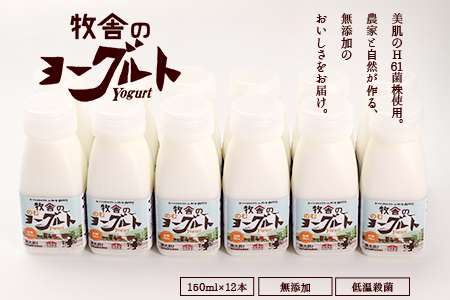 朝搾りミルク100%使用!無添加の飲むヨーグルト12本