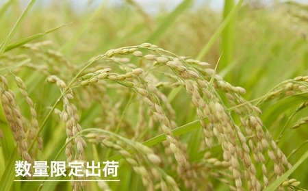 令和7年産　岩手県矢巾町　ひとめぼれ精米10kg