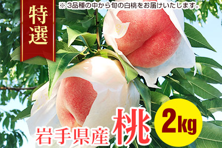 ふじむら農園の特撰白桃2kg