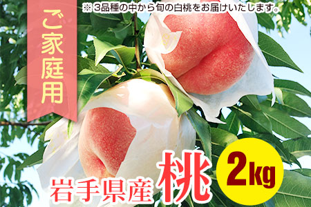 ふじむら農園のご家庭用白桃2kg