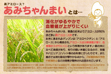 グルテンフリー！米粉で作ったもっちりシフォンケーキ　抹茶味（4～6人分）