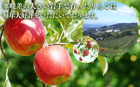 ふじむら農園のりんご（サンふじ）約3kg