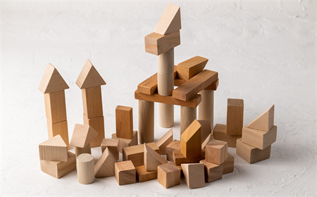 【イニシャル刻印】Wood工房　森の木の積木５０個入り【優しい木のおもちゃ】