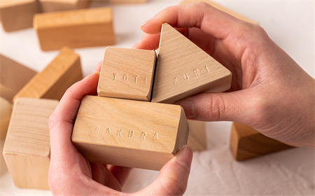 【イニシャル刻印】Wood工房　森の木の積木５０個入り【優しい木のおもちゃ】