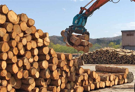 西和賀森林組合　北国の薪ナラ【お試し】バラ「約10kg」