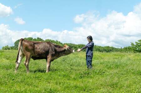 左草ブラウンスイス牧場　コンビーフ「わりくら」３個セット