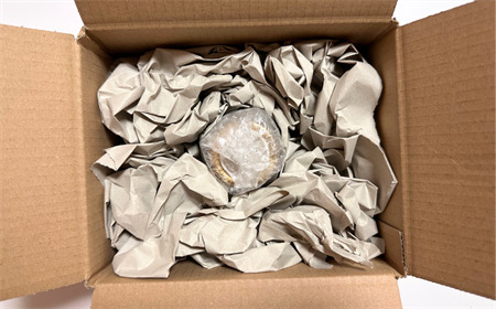 【国産】巣鴨養蜂園　純生はちみつ「菩提樹（シナノキ）」150g