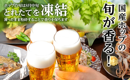 11月7日発送開始】一番搾り とれたてホップ生ビール＜北海道千歳工場産