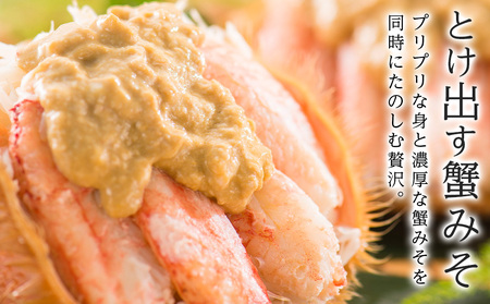 北海道産【朝ゆで】毛ガニ(500g前後)1尾 期間限定!<かにのマルマサ> かに 毛がに カニ 千歳 北海道 海鮮