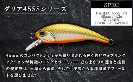 大規模渓流向け釣りルアー「千歳市千歳川Dセット」
