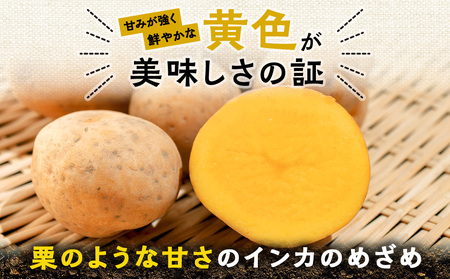 馬鈴しょインカのめざめ 5㎏×1箱 野菜 じゃがいも インカのめざめ 一口サイズ ジャガイモ 北海道ふるさと納税 千歳市 ふるさと納税 北海道千歳市