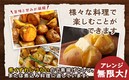 馬鈴しょインカのめざめ 5㎏×1箱 野菜 じゃがいも インカのめざめ 一口サイズ ジャガイモ 北海道ふるさと納税 千歳市 ふるさと納税 北海道千歳市