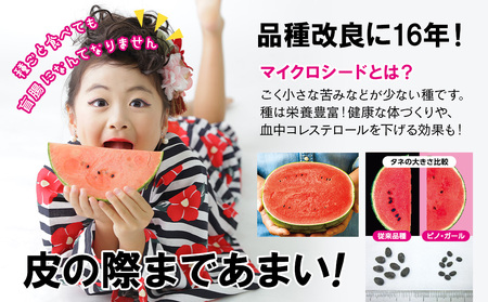 【2026年8月中旬より発送】 有機JAS認定！ スイカ ピノガール 数量限定 すいか 小玉 西瓜 フルーツ セット 果物  【かねこ農園】