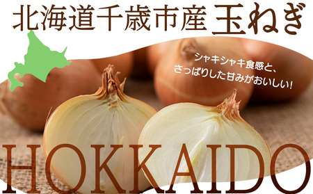 【先行予約】玉ねぎ 10kg LLサイズ 北海道 千歳市産 【假屋フードブリッジ】