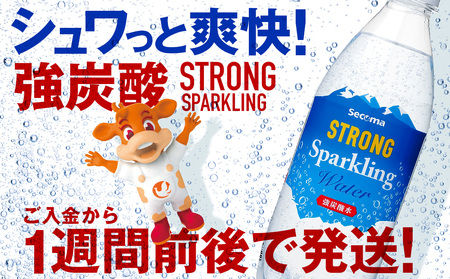 セコマ 強炭酸水 500ml 24本 1ケース 北海道 千歳製造 飲料 炭酸 ペットボトル セイコーマート