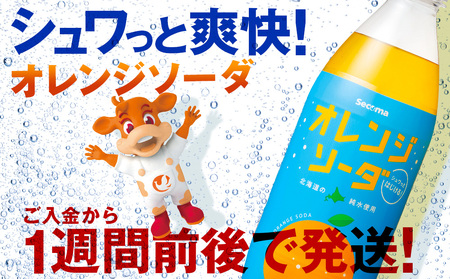 セコマ オレンジソーダ 500ml 24本 1ケース 北海道 千歳製造 期間限定 飲料 炭酸 ペットボトル セイコーマート