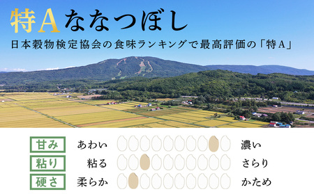 【新米発送】【定期便 12回 】北海道産 ななつぼし 10kg ( 5kg × 2袋 ) 特Ａ 米 お米 5キロ 千歳 北海道 北海道米