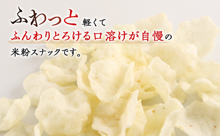 【 定期便 3ヶ月 】 ふわっと えび味 10袋入×2箱 ～ 北海道工場 製造 ～《 岩塚製菓 》