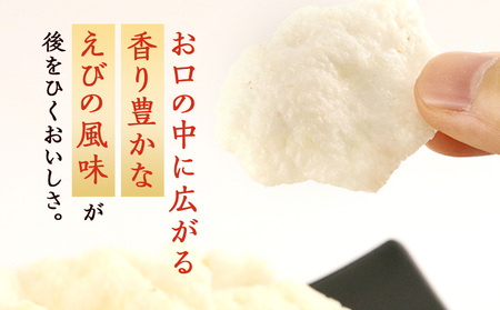 【 定期便 3ヶ月 】 ふわっと えび味 10袋入×2箱 ～ 北海道工場 製造 ～《 岩塚製菓 》