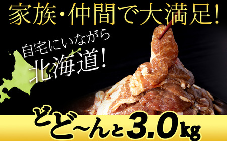 味付ラムジンギスカン3㎏ ≪肉の山本≫ 千歳ラム工房 北海道ふるさと納税 羊肉 らむ ラム 生ラム ジンギスカン ふるさと納税肉 北海道 千歳市 ギフト 祝い お取り寄せ  北海道千歳市