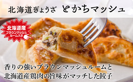 天のびろく 餃子 お徳用 2種 セット(580g×2)
