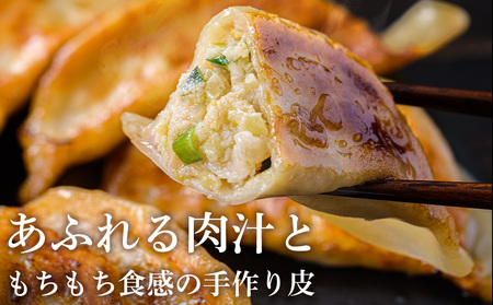 天のびろく 餃子 お徳用 2種 セット(580g×2)