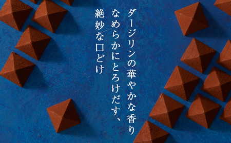 チョコレート ロイヤルモンターニュ 1箱【ルタオ】