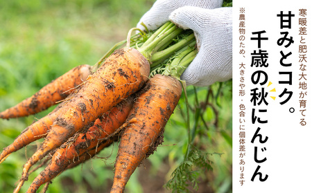 【2026年9月末より発送】北海道産 旬の秋ニンジン 20㎏ 【かねこ農園】