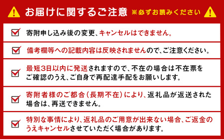 【12月28日決済確定分まで年内発送】【定期便6回・隔月】キリン本麒麟 350ml（24本）＜北海道千歳工場産＞