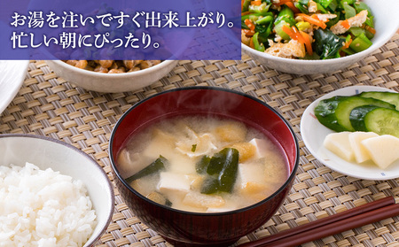 【定期便12ヶ月】  味噌汁 インスタント みそ汁 徳用 即席 4種 22食入 スープ 2袋 セット【紅一点】《千歳工場製造》