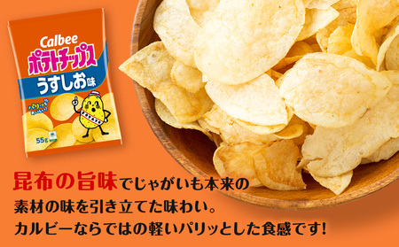 カルビーポテトチップス 2種セット うすしお・コンソメパンチ 各8袋 《北海道工場製造》