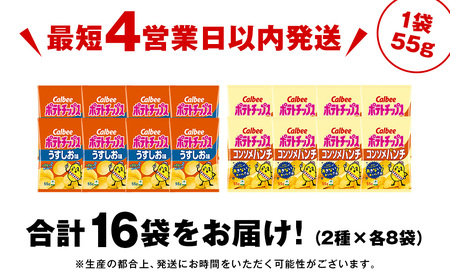 カルビーポテトチップス 2種セット うすしお・コンソメパンチ 各8袋 《北海道工場製造》