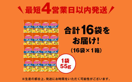 カルビーポテトチップス＜うすしお＞16袋入×1箱《千歳工場製造》