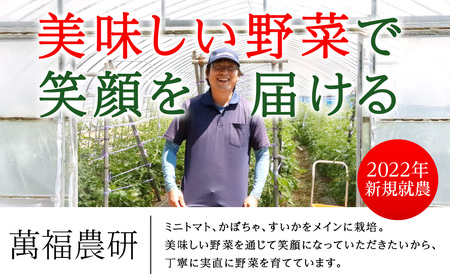 【2026年発送】〈萬福農研〉産地直送！ミニトマト(プレミアムルビー) 1kg