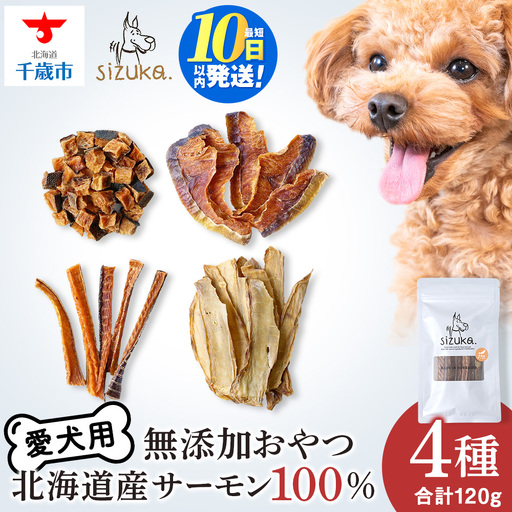 サーモン4点セット（4種類 各30g）