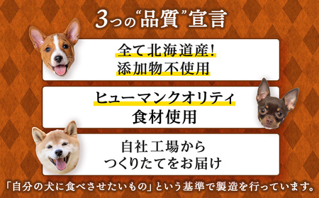 サーモン6点セット