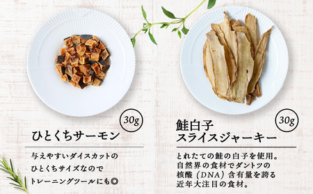 サーモン6点セット