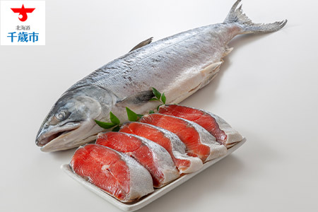 北海道産新巻鮭姿切身約1.8kg