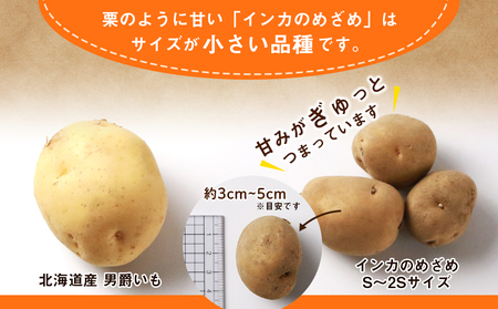 【2024年 新じゃが 】 インカのめざめ S～2Sサイズ 20kg いも 芋 じゃがいも ジャガイモ インカ 野菜 北海道 千歳