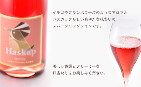 千歳ワイナリー ハスカップスパークリング750ml×1本　【お酒・シャンパン・スパークリングワイン】