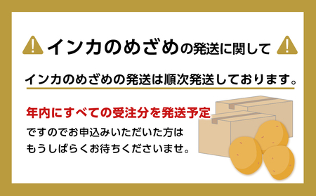 【 2024年 新じゃが 】インカのめざめ 混合 15kg いも 芋 じゃがいも ジャガイモ インカ 野菜 北海道 千歳