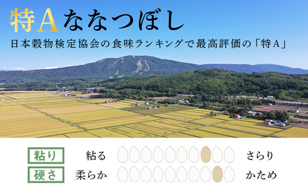 【定期便12ヶ月・上旬発送】《令和7年産 新米》北海道産ななつぼし 5kg(通常パック5kg×1袋
