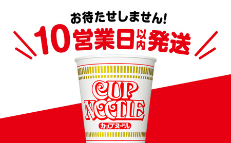 日清 カップヌードル 10食