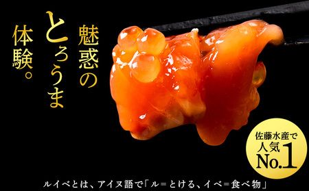 【佐藤水産】鮭ルイベ漬 600g(300g×2個) 自家用 ラベルレス