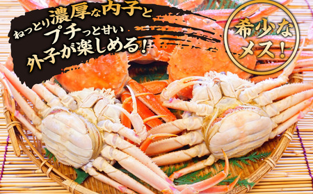 北海道産【朝ゆで】訳ありオオズワイガニ メス(小) 1.0kg詰 子持ち 内子 外子＜かにのマルマサ＞