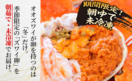 北海道産【朝ゆで】訳ありオオズワイガニ メス(小) 1.0kg詰 子持ち 内子 外子＜かにのマルマサ＞