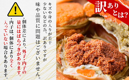 北海道産【朝ゆで】訳ありオオズワイガニ メス(小) 1.0kg詰 子持ち 内子 外子＜かにのマルマサ＞